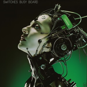 Switches Busy Board - Single