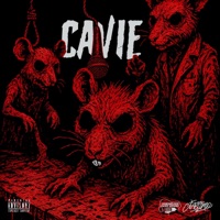 Cavie - Single - iastimo