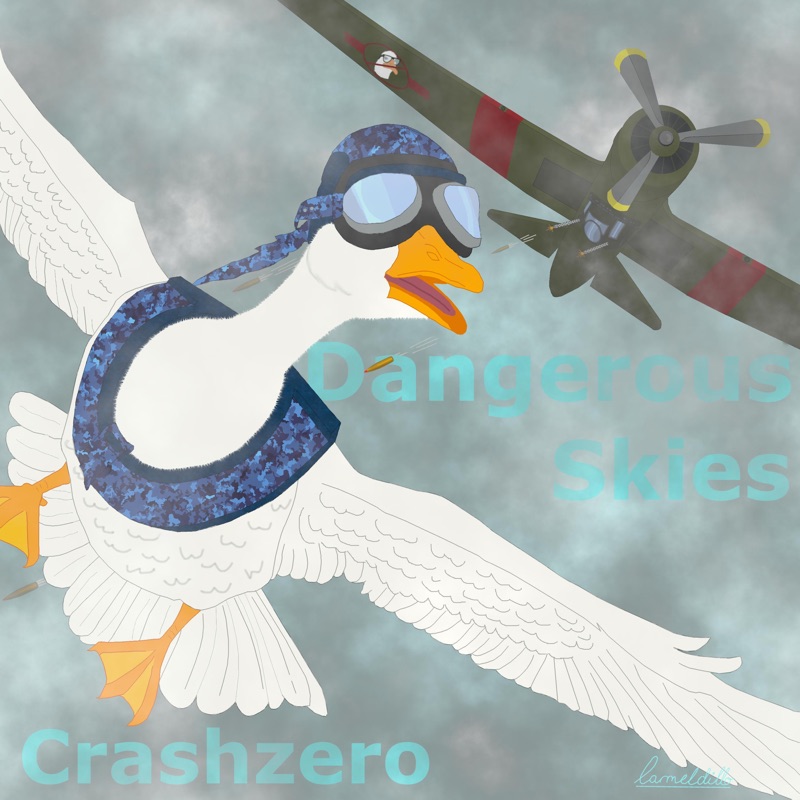 Dangerous Skies