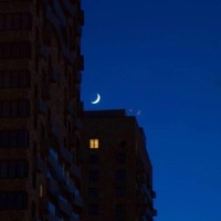 MOVIE SHOW - Single - TyRaaX