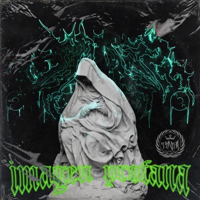 Imagen Profana (feat. Tinta DGO) - Single