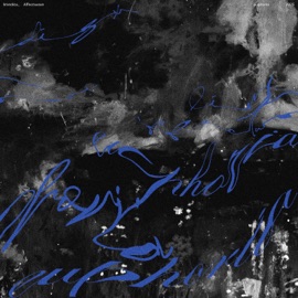 euphoria limedisx. & Affectwave