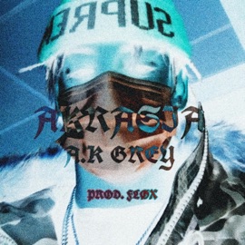 Akrasia AK Grey
