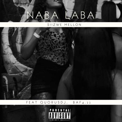 Naba laba (feat. Quorusdj & Baf4.22) - Single