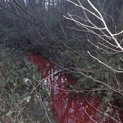 Art of Lying - Single