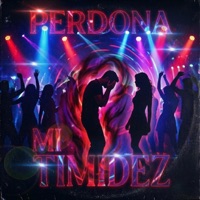 Perdona Mi Timidez