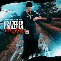 Prazeres da Vida - Single - MC Bruno PR
