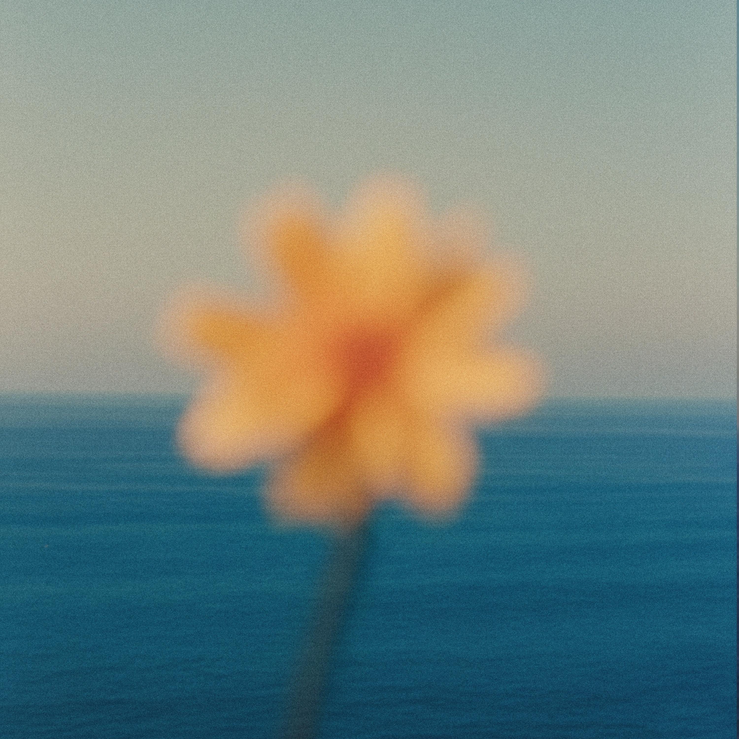 Still Want More - Single