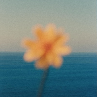 Still Want More - Single