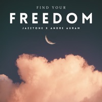 Find Your Freedom - Single - Andre Auram & JAZZTONE