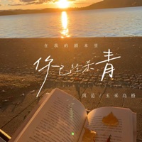 在我的剧本里你已经杀青 (温柔版) - Single - 风范 & 玉米岛格