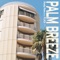 Palm Breeze (feat. FLKS) - Rudy Raw lyrics