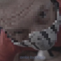 ALMANAC (feat. Pikers) - Single - Młody Zgred