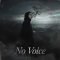 No Voice