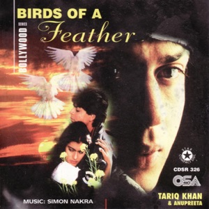 Birds Of A Feather (feat. Anupreeta)