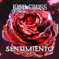 Sentimiento - Single - Josh Cross