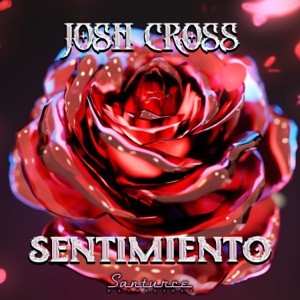 Sentimiento - Single