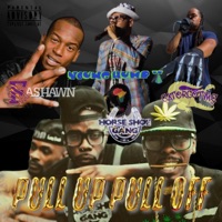 Pull Up Pull Off - Single - The Student