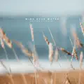 Wind Over Water