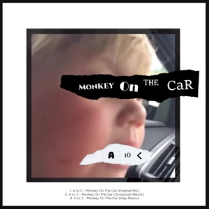 Monkey on the Car - Single