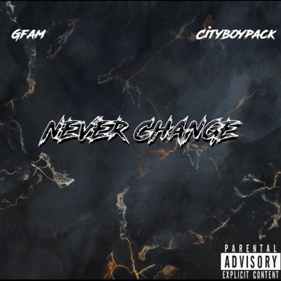 Never change (feat. Cityboypack) - Single