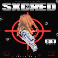 S.T.K (feat. LEAVESANE) - Single - SXCRED