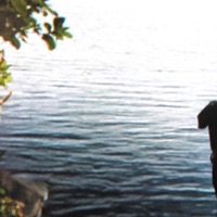 fivemoreminuteswouldntsolveanyofyourproblems - Single - willow.x