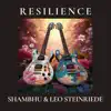 Resilience