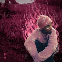 Reanimation - craz3teki