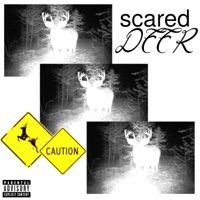 Scared Deer (feat. RHINOO!) - Single - rodz!