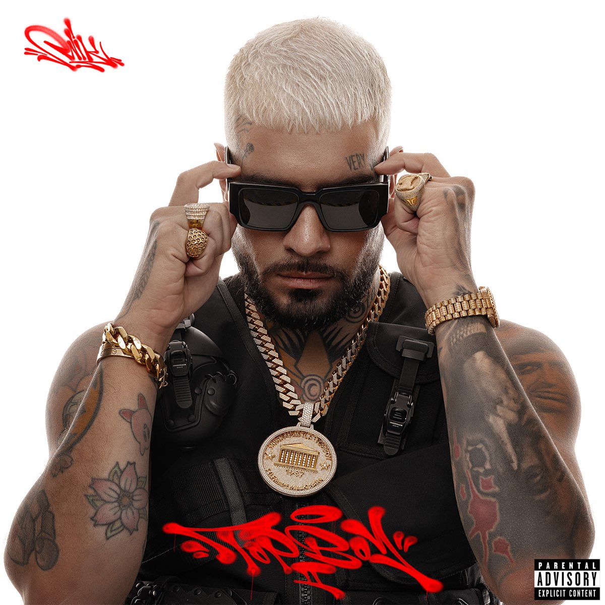 TOPBOY 2 Album By SNIK Apple Music topboy-2-album-by-snik-apple-music