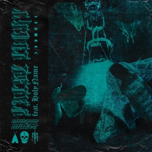 False Light (feat. HolyName) - Single