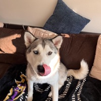 Going Down (feat. Razii) - Single - Robtop