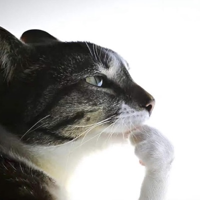 sHE beLIEveD_(iphone) - EP