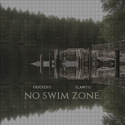 No Swim Zone (feat. Oddidee) - Single