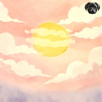 Sunshine - Single - alhivi, Høxde & amelia.grace