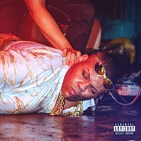 Malote Entocado - Single - MC Du & DJ Dael