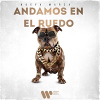 Andamos En El Ruedo - Single - La Nueva Marca