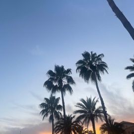 nightingale Antonius B