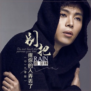 别把疼你的人弄丢了 (DJ九零版) - Single