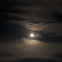 Parking Lot - Single - Dreamland