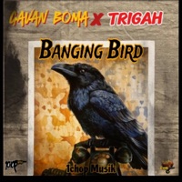 Banging Bird (feat. 1chop & Trigah) - Single - Gavan Boma