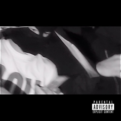 BBR Presents: Bird Tales, Pt. 3