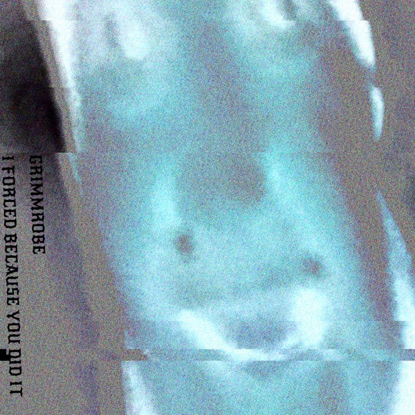 I FORCED BECAUSE YOU DID IT!!! - Single