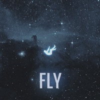 FLY - Single - B.A.S.L