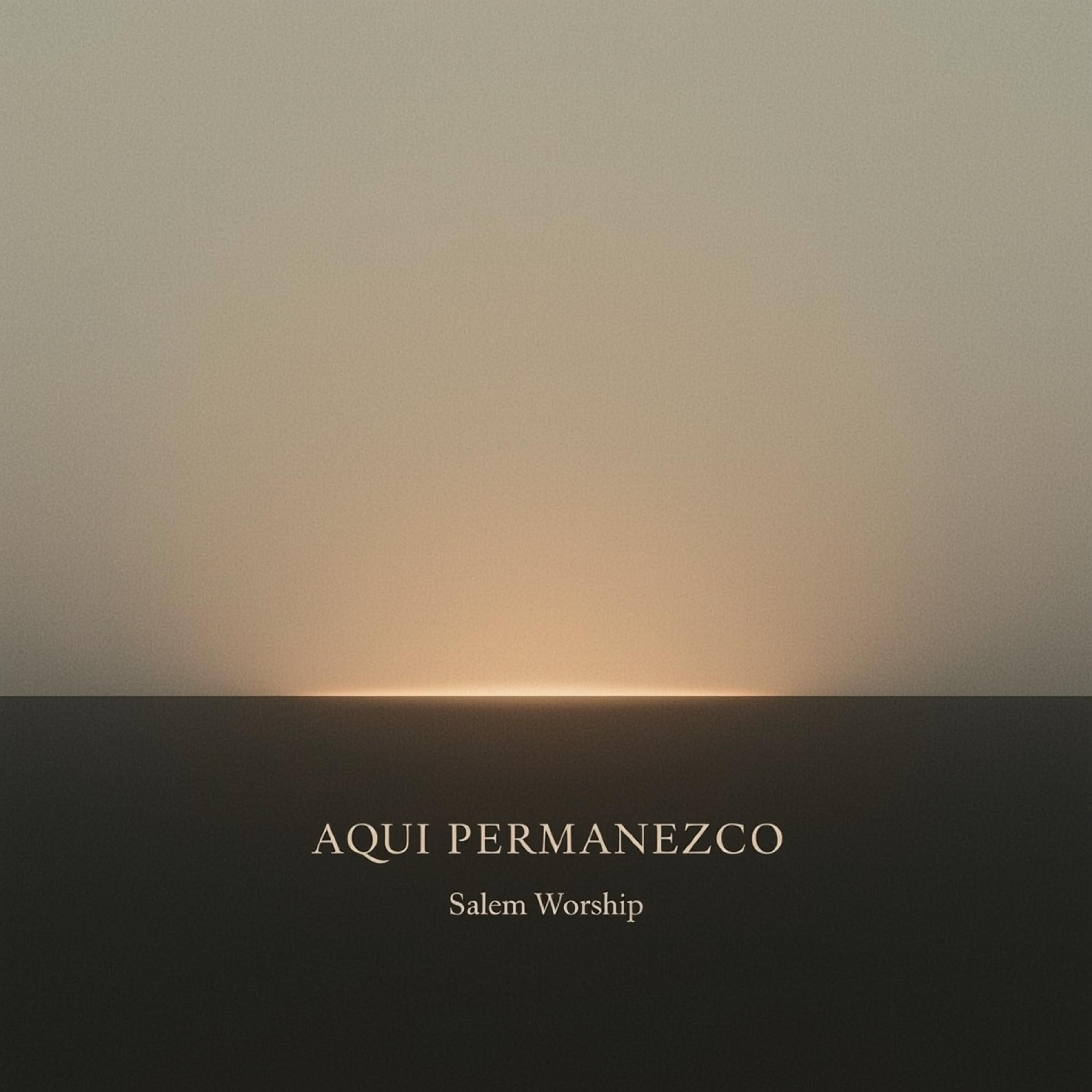 AQUÍ PERMANEZCO - Single