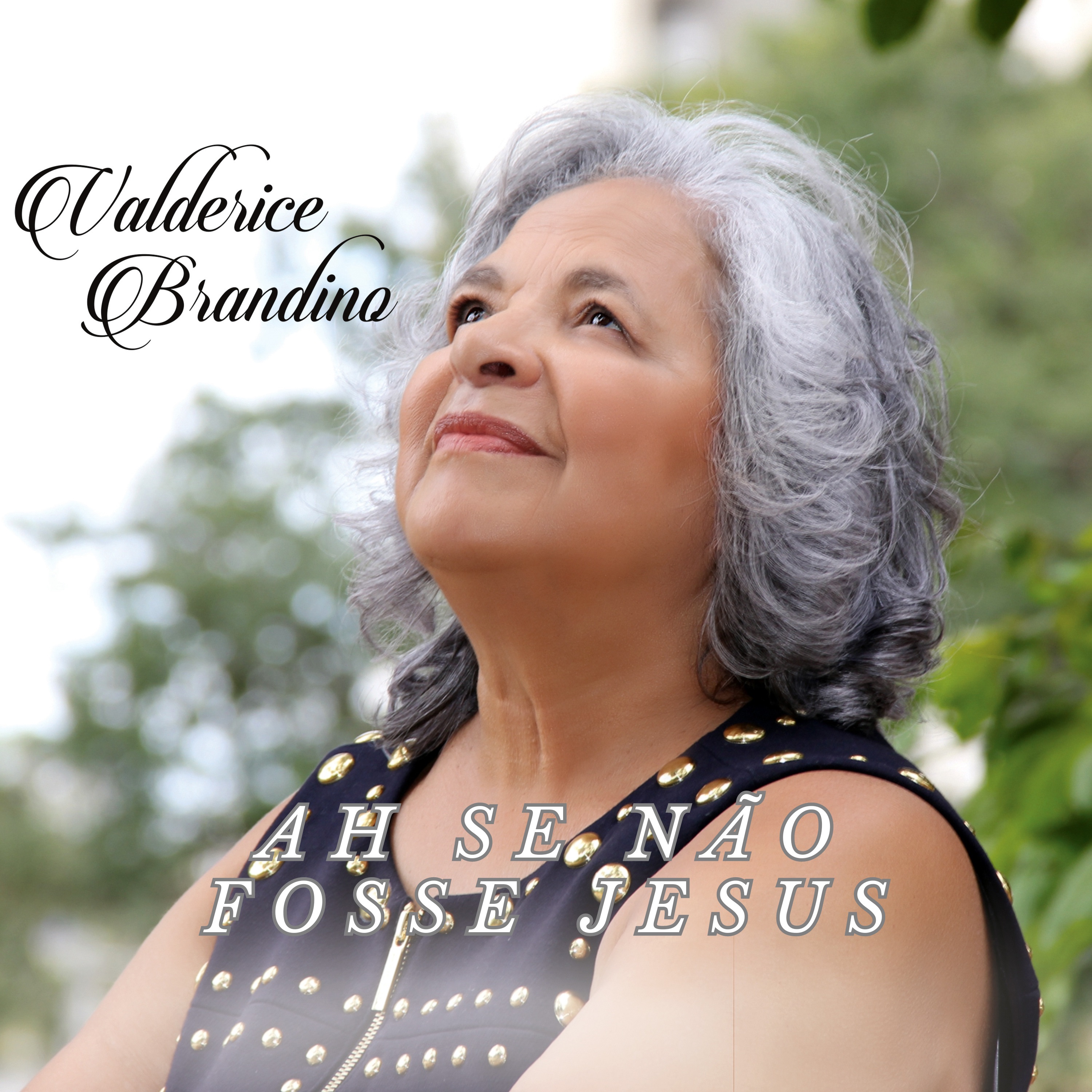 Ah Se Não Fosse Jesus - Single