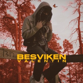 BESVIKEN Valentin & Shyde