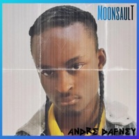MoonsaulT - André Dafney
