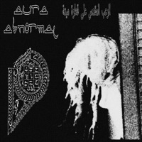 Holy Terror On A Dead Drop - Single - Aura Abnormal